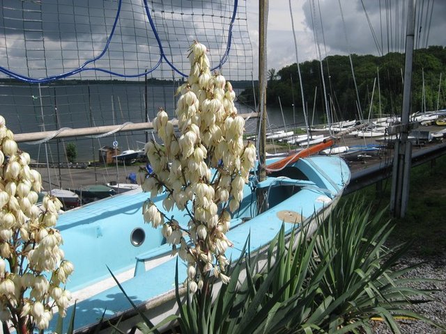 photos au 07.07.2012 018.jpg