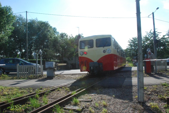 DSC_6494.jpg