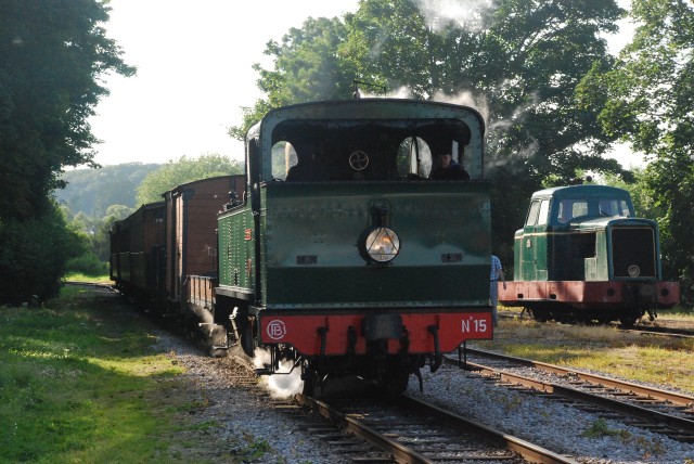 DSC_6537.jpg