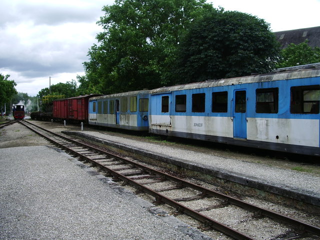 IMGP4974.JPG