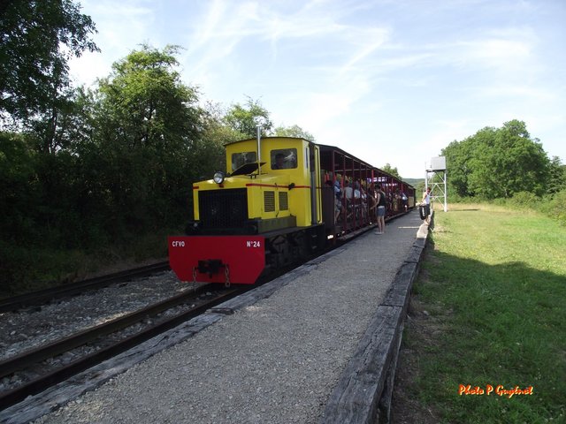 DSCF5580.jpg