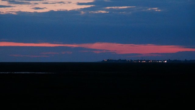 DSC00484.jpg
