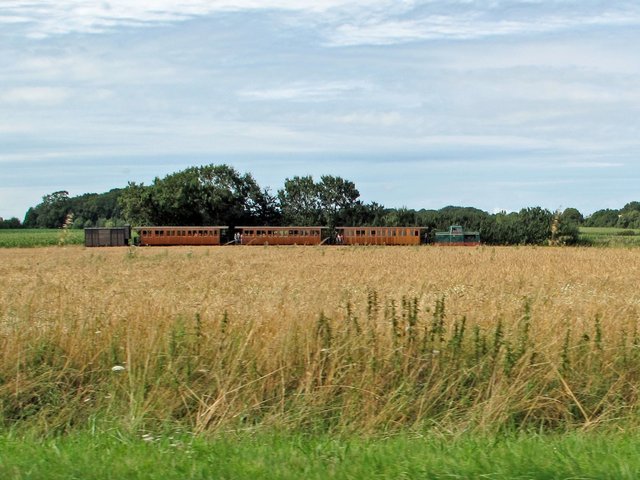 IMG_2505.jpg