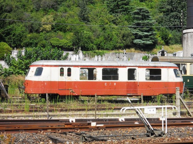 DSCN0126.JPG