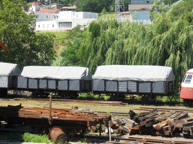 DSCN0146.JPG