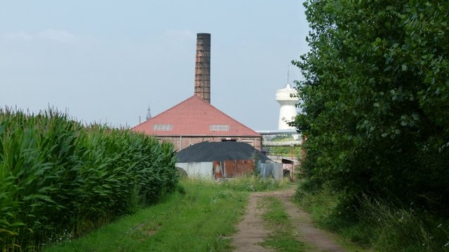 P1020445 (800x450).jpg