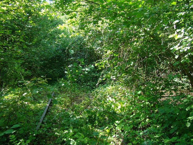 DSC02879.JPG
