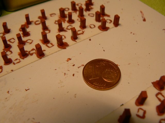 P1110996 (800x600).jpg