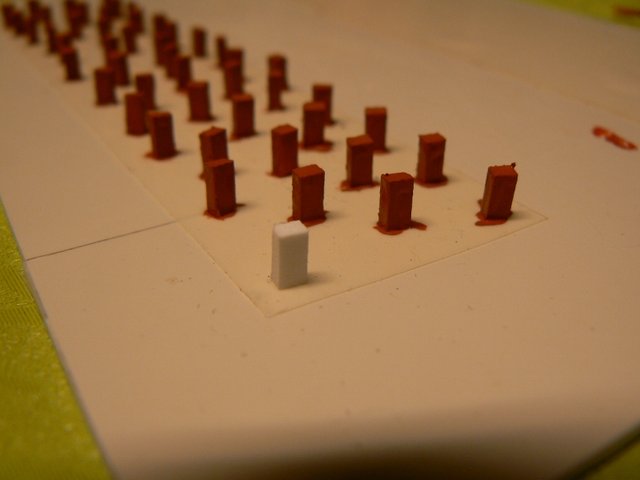 P1110994 (800x600).jpg