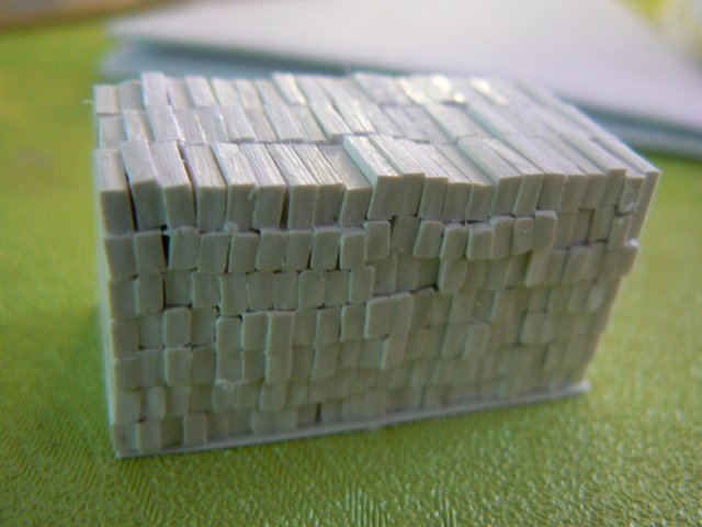 P1120003 (800x600).jpg