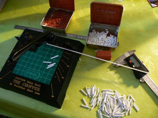 P1110998 (800x600).jpg