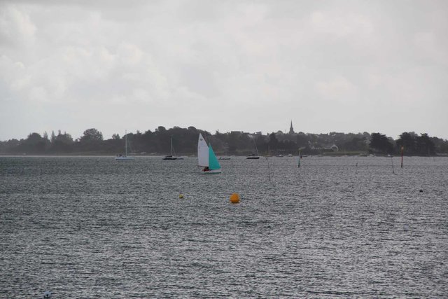 063 IAM 2012.jpg