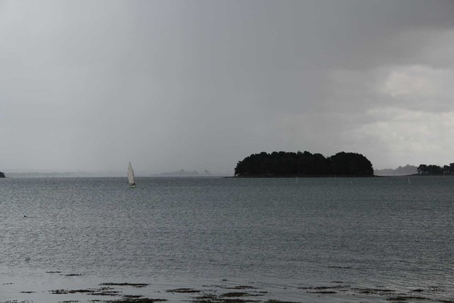 064 IAM 2012.jpg