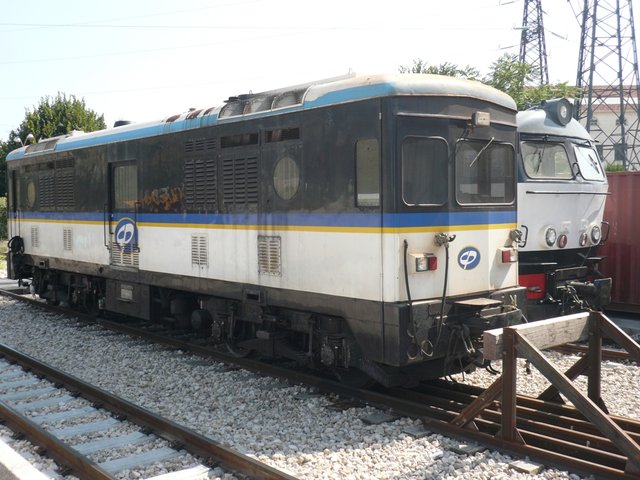 P1130074.JPG