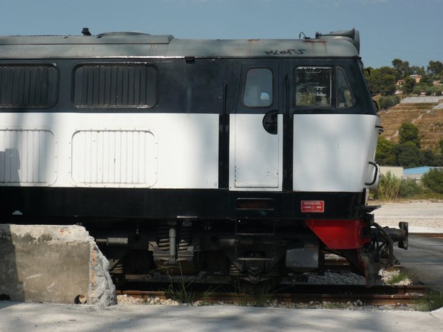 P1130088.JPG