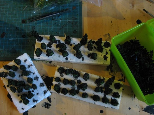Photo 024.jpg