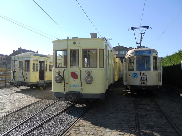 festival tto (14).JPG