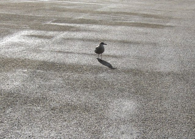 Photo 003.jpg