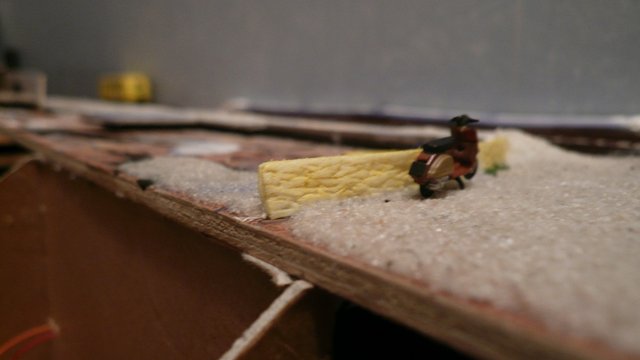 P1130412.JPG