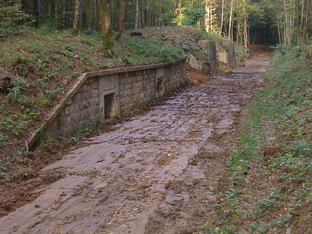 IMGP2435.JPG