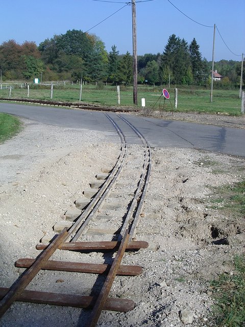 IMGP4091.JPG