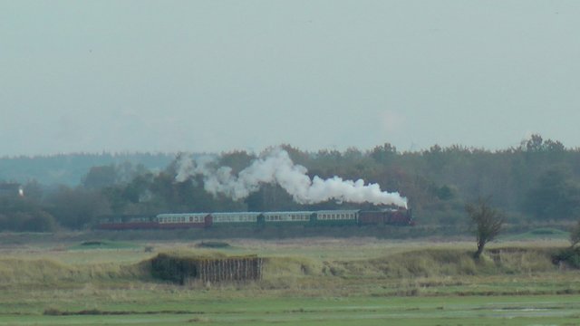 S1980047R.JPG
