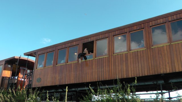 S1980057R.JPG