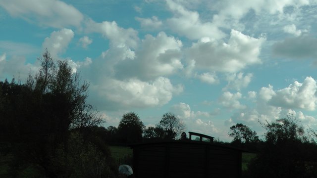S1980074R.JPG