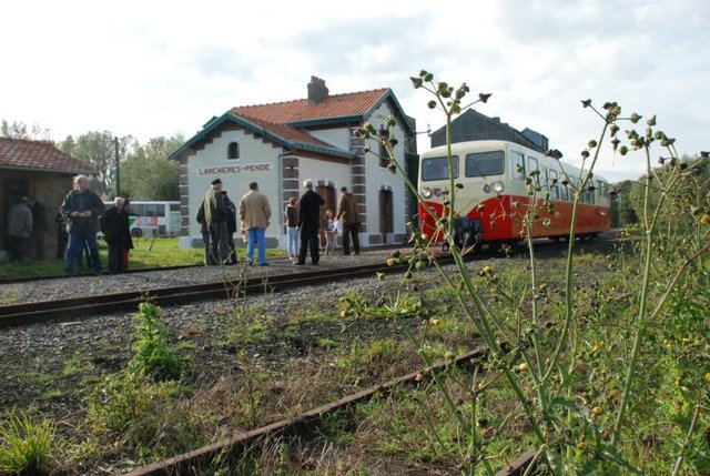DSC_7232.jpg