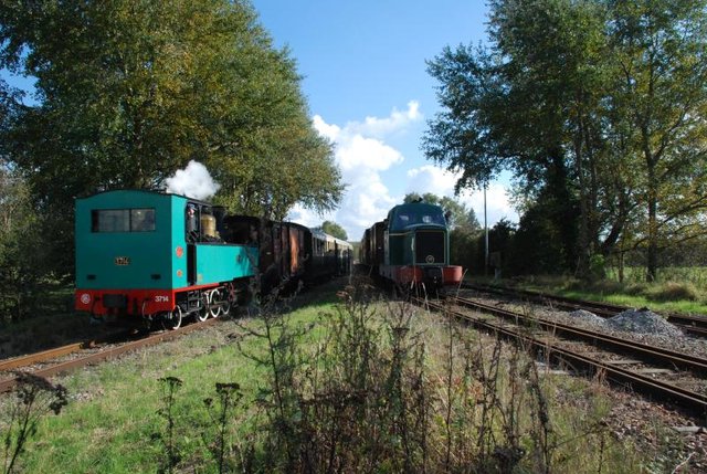 DSC_7322.jpg
