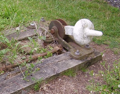 P8210363_2.jpg