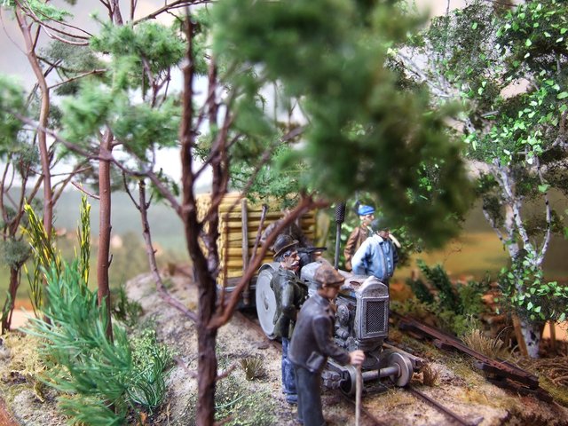 Ancienne ligne forestière Contaut le Huga 017.JPG
