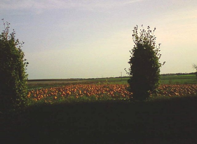 Photo0169.jpg