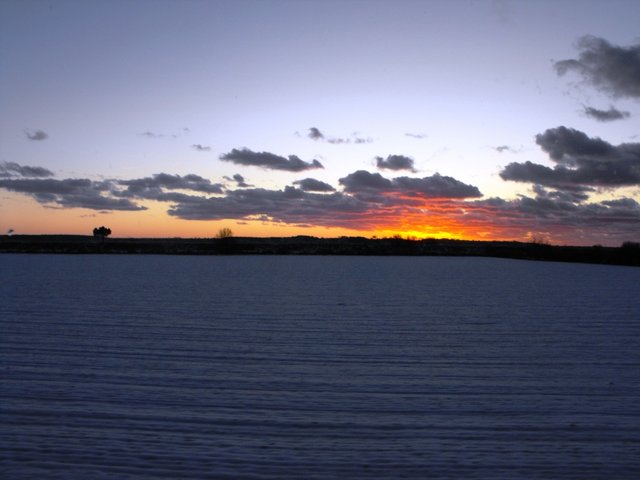 Copie de diapo 031.jpg