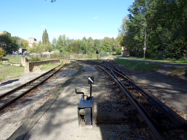 SDC11061pme.jpg