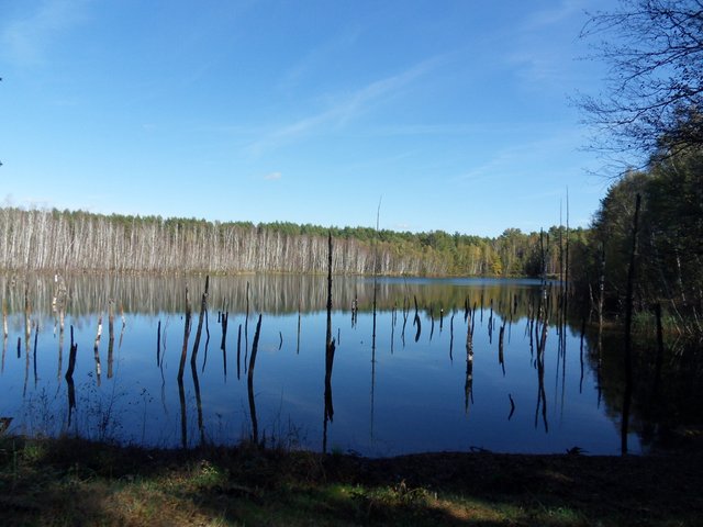 SDC11097pme.jpg