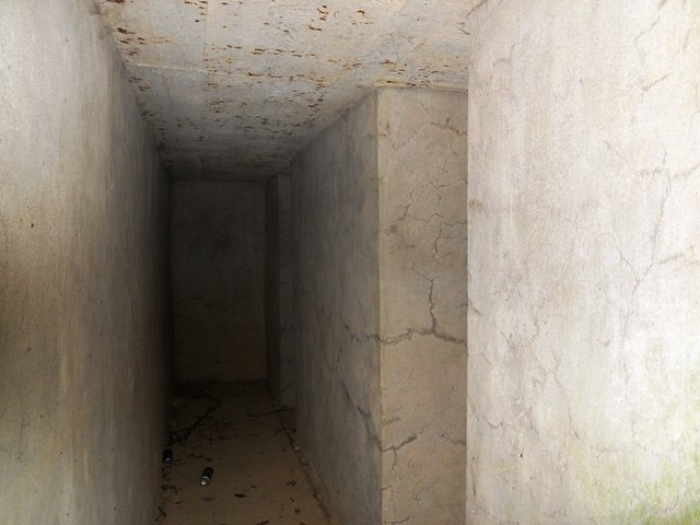 DSCN0045.JPG