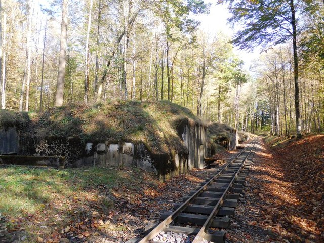DSCN0047.JPG