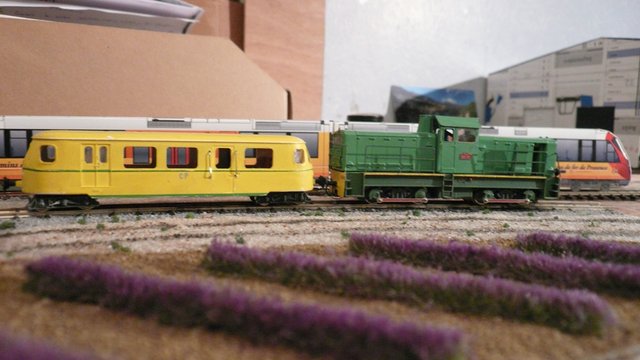 P1130560.JPG