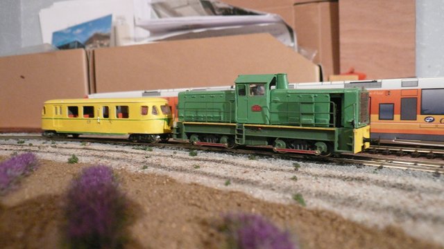 P1130561.JPG