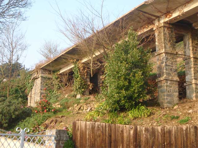 tregor2011-232.jpg