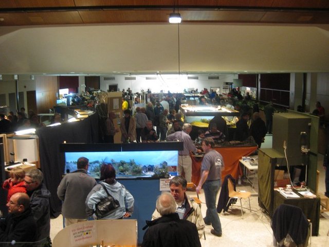 expo.jpg