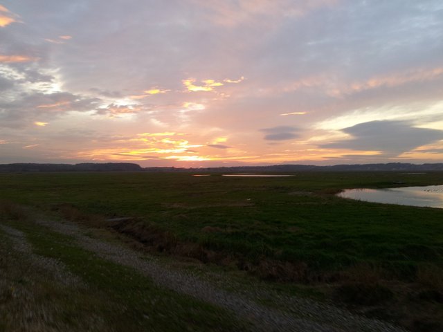 20121109_171631 PME .jpg
