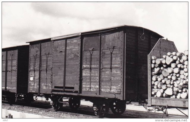 18 - SE CHER SAINT AMAND WAGON BOIS .jpg