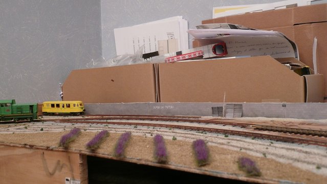 P1130704.JPG