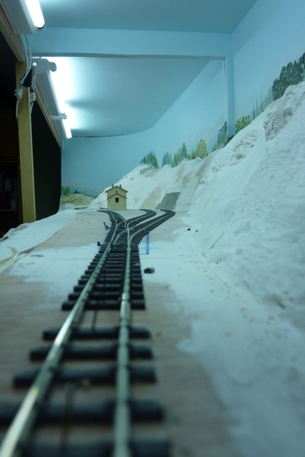 P1030422.jpg