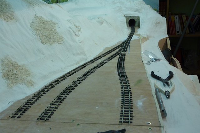 P1030451.JPG