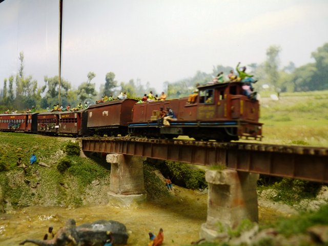 P1040904.JPG