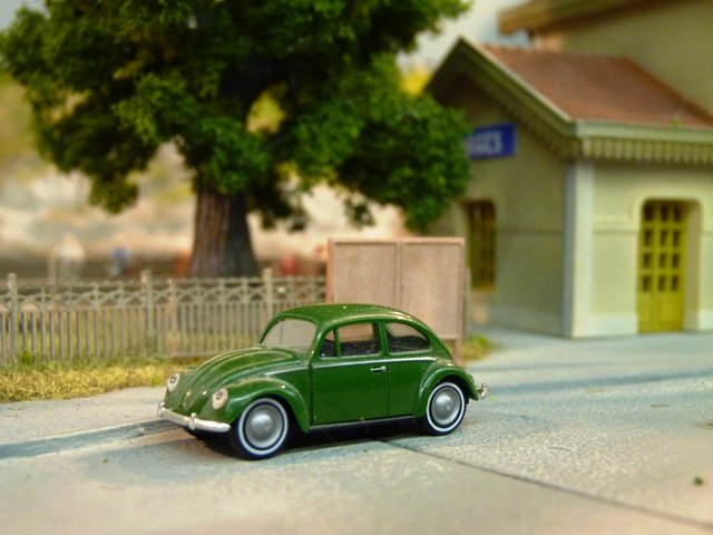 P1040920.JPG