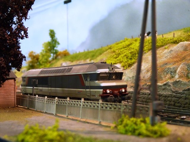 P1040917.JPG